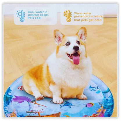 AquaPlay Pet Sensory Mat - Samarz.com