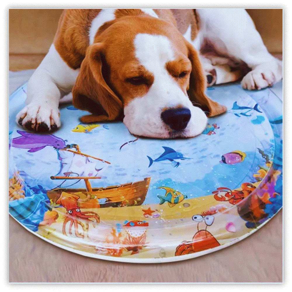 AquaPlay Pet Sensory Mat - Samarz.com