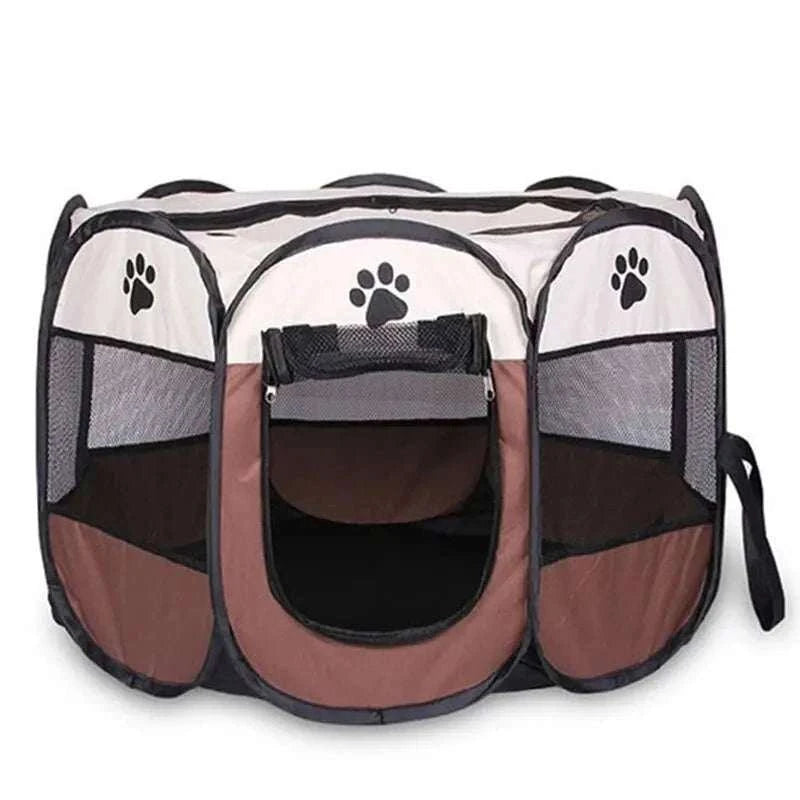 PawsParadise: Your Pet's New Happy Place! 🐾 - Samarz.com