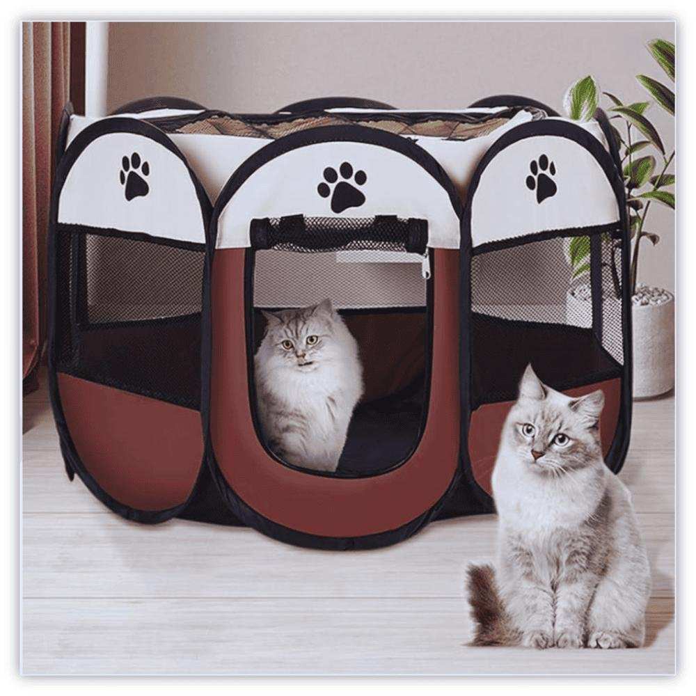 PawsParadise: Your Pet's New Happy Place! 🐾 - Samarz.com